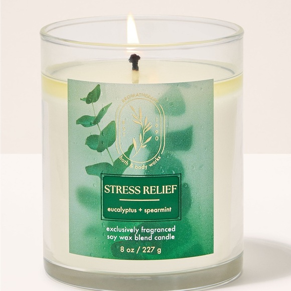 Bath & Body Works Other - Bath & Body Works Eucalyptus Spearmint Candle